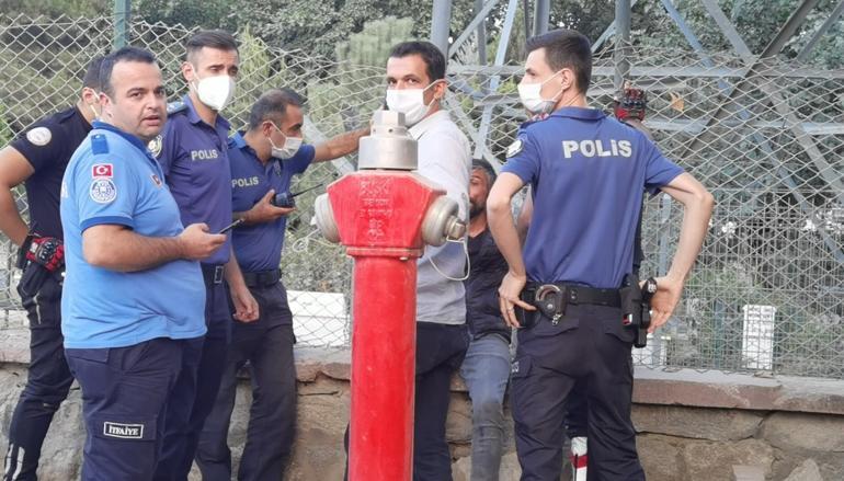 Şaşırtan manzara Gören dönüp bir daha baktı...