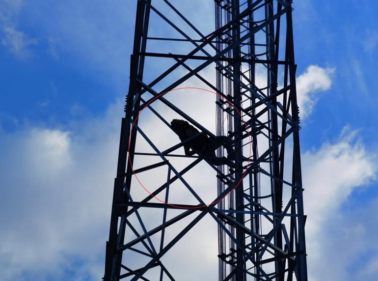 Şaşırtan manzara Gören dönüp bir daha baktı...
