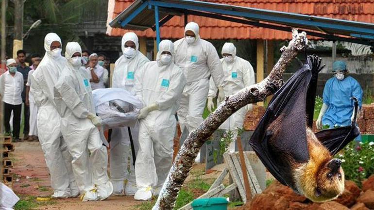 Koronavirüste korkunç gerçek ortaya çıktı Çin, salgından aylar önce hepsini sipariş etmiş