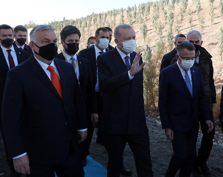 Son dakika... 11 Kasım Milli Ağaçlandırma Günü... Cumhurbaşkanı Erdoğan duyurdu: 81 ilde 81 Millet Ormanı