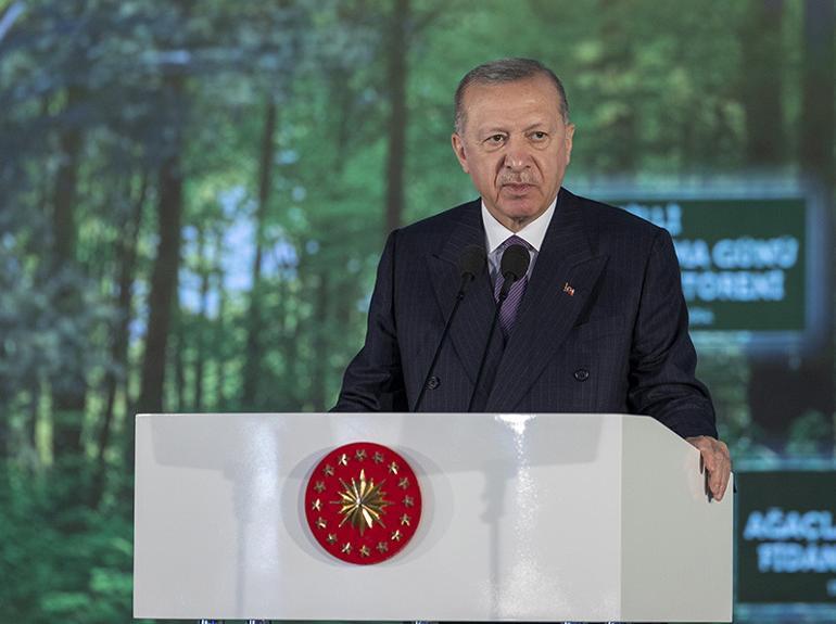 Son dakika... 11 Kasım Milli Ağaçlandırma Günü... Cumhurbaşkanı Erdoğan duyurdu: 81 ilde 81 Millet Ormanı