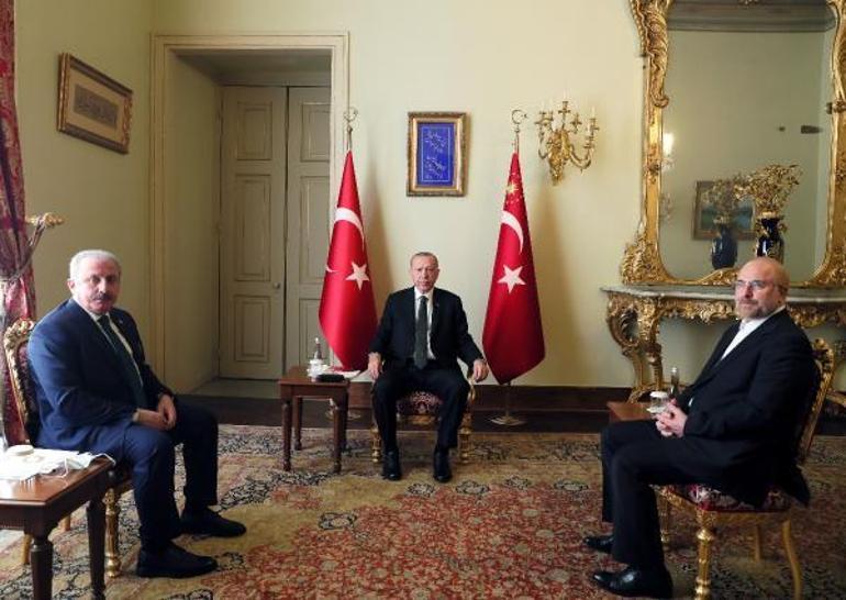 Cumhurbaşkanı Erdoğan İran Meclis Başkanını kabul etti