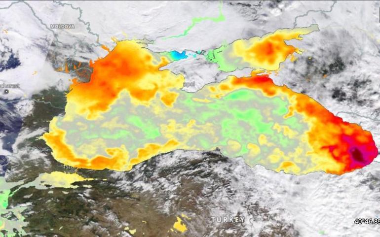 Hamsi firarda Neden gidiyorlar Balık her zaman doğrusunu yaptı...