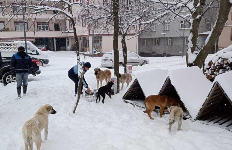 Son dakika: Meteorolojiden hava durumu uyarısı İşte sıcaklıkların artacağı tarih