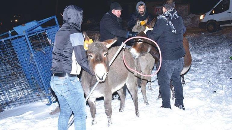 Uzmanlar kara kışı yorumladı: 1987 gibi olur mu