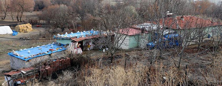 Çifte cinayette gizli tanıktan kan donduran ifade: Vildanın annesi cesetleri ormanda bırakmasaydınız dedi