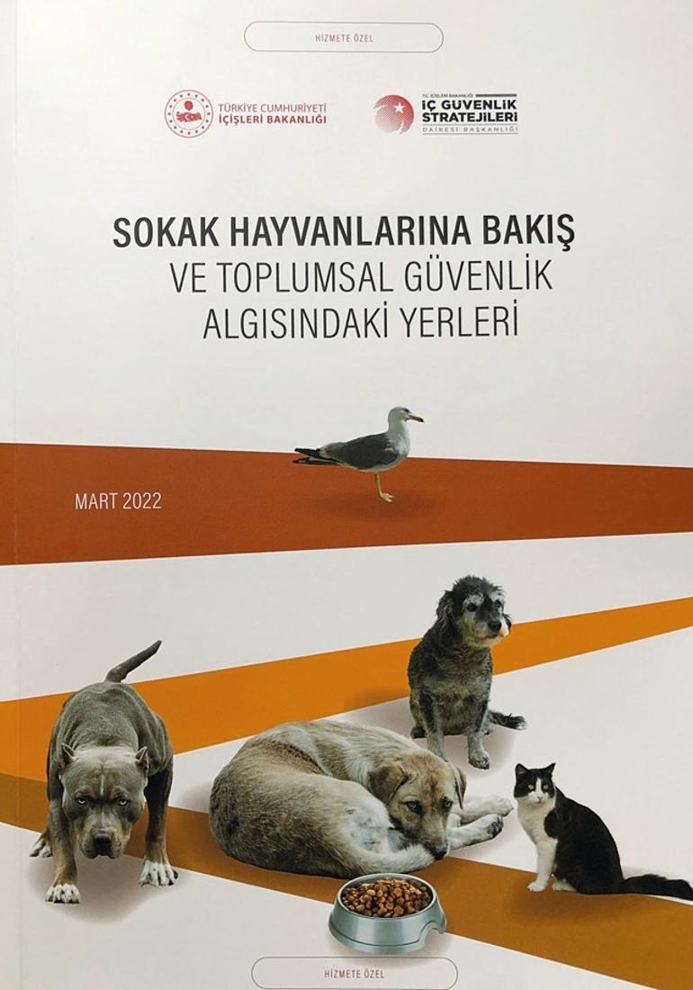 İçişleri Bakanlığı’ndan araştırma: ‘Sokak hayvanları tehlikeli mi’ ‘Evet’ yüzde 34, ‘Hayır’ yüzde 45