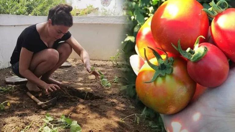 Ünlü ismin doğa tutkusu aileden mirasmış: Yıllar öncesinden ne olacağım belliymiş...