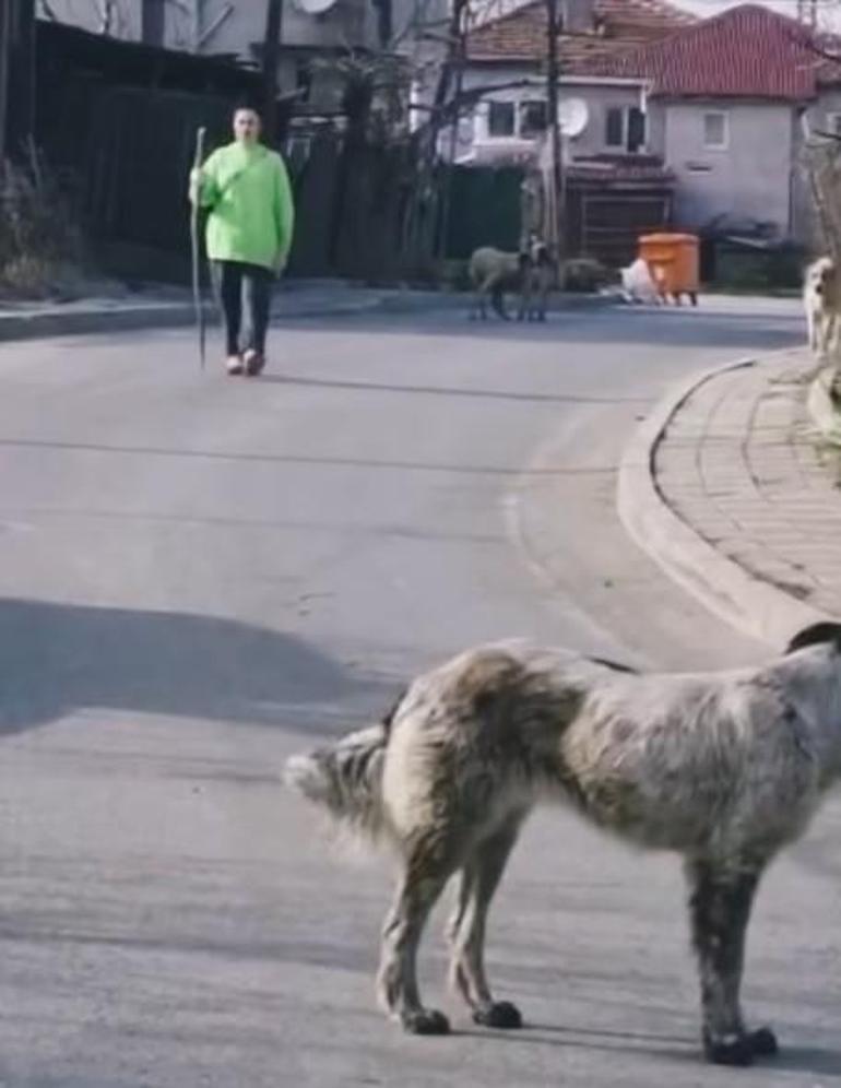 Sahne ışıkları da yok, ışıltılı kıyafetler de... Ünlü şarkıcının köy hayatı