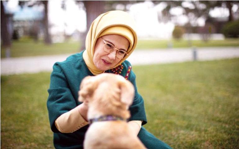Emine Erdoğan: Sıfır atık projesi hayallerimin ötesine geçti