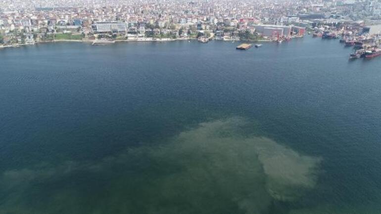 Müsilaj geri mi dönüyor İstanbul sahillerinde korkutan görüntü