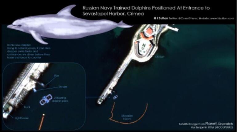 Uydu görüntüleri şaşırttı Rusya askeri yunusları devreye soktu...