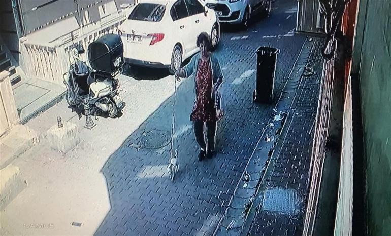 Kağıthanede pitbull dehşeti Köpeğini gezdiren kadın kâbusu yaşadı... Saldırıya uğrayan köpeğini böyle kurtardı