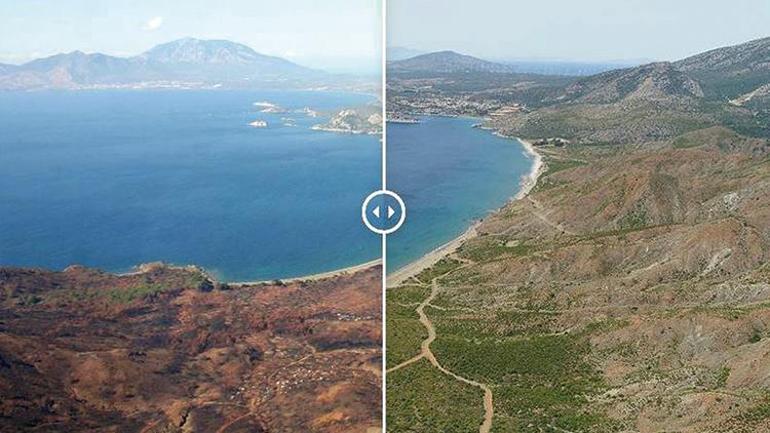 Küllerinden doğdular Yeniden yeşillendi ama çok uzun sürdü