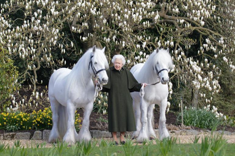 La reine Elizabeth II annule ses événements, mais... Visite secrète dans un lieu inattendu