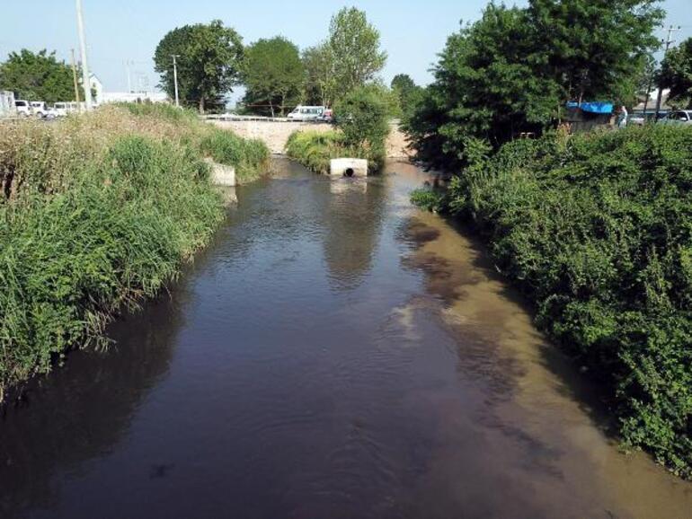 Córrego Nilüfer começou a fluir preto, pior resultado da análise Chama atenção para o perigo