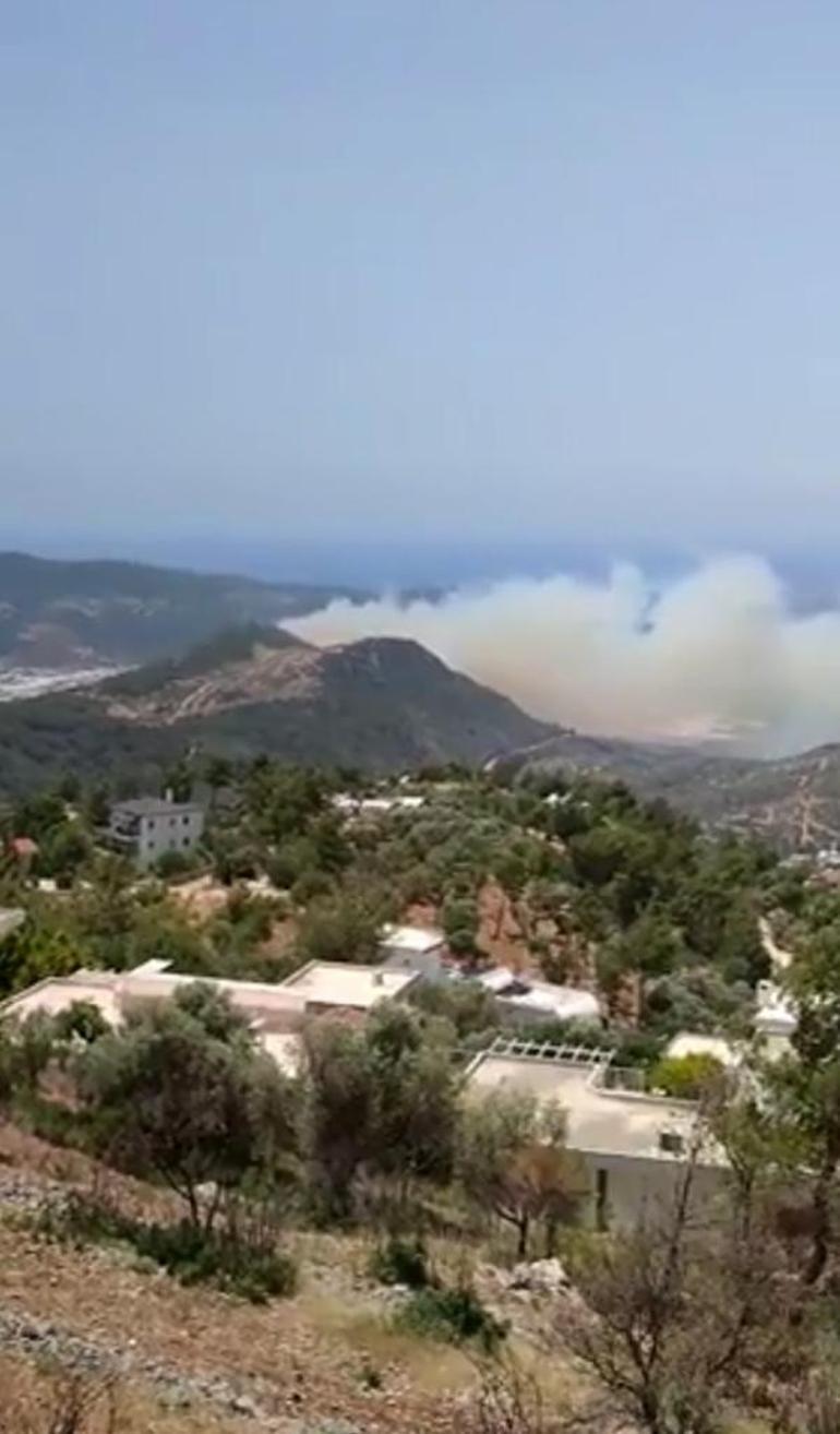 Kaşta makilik alanda yangın