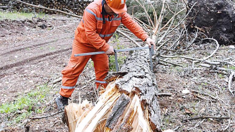 Fırtına yıktı geçti 600 ağaç devrildi yer yarıldı dere taştı...