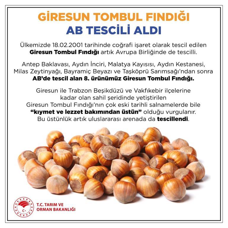 Giresunun Tombul Fındığı, AB tarafından tescillendi