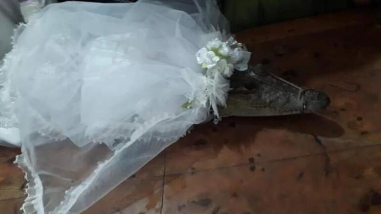 Meksikada asırlık gelenek Belediye başkanı timsahla evlendi...