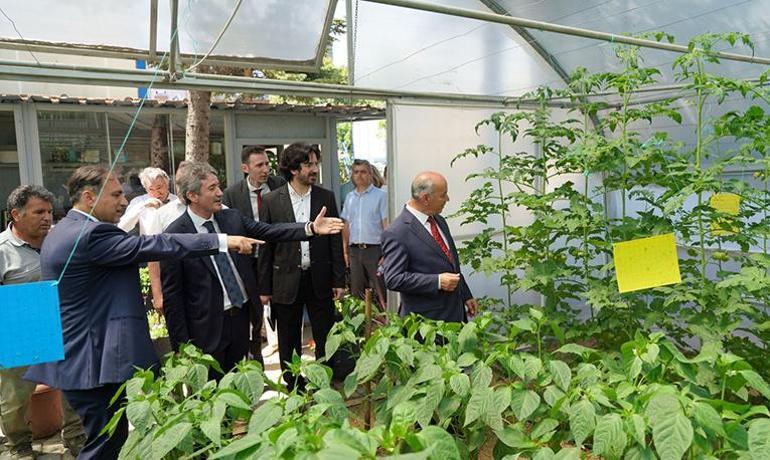 An 'agricultural field' opened for vocational high schools in Istanbul