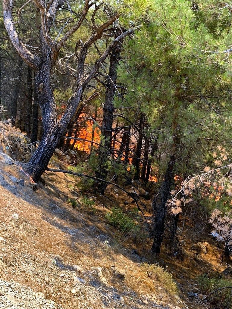 Son dakika: Datçada orman yangını Karayolu kapatıldı, evler tahliye edildi