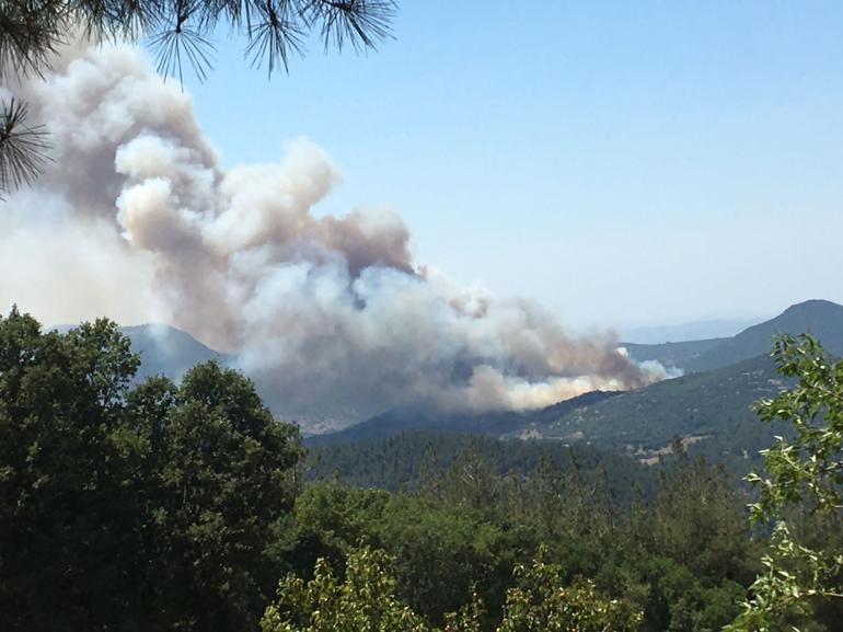 Son dakika... Balıkesir Kepsutta orman yangını