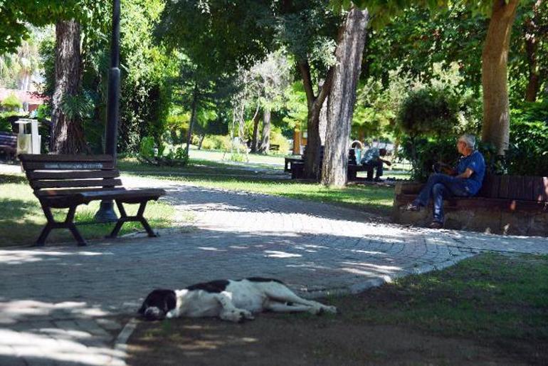 Adana’da aşırı sıcak: Vatandaşlar parklara akın etti