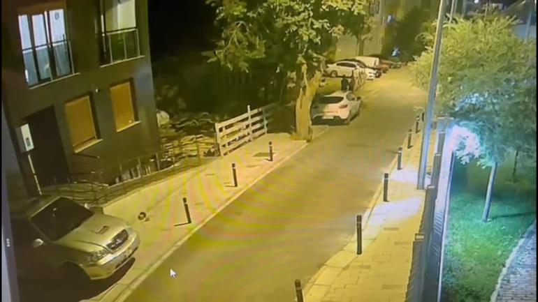 Elif Güneşin korkunç ölümü Kuzeni gözyaşlarına boğuldu, böyle haykırdı