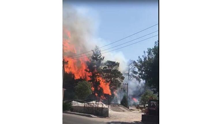 Son dakika: Marmaris İçmelerde korkutan orman yangını Alevler kontrol altına alındı