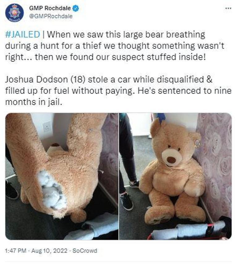 Incredible event The criminal sought by the police came out of the teddy bear...