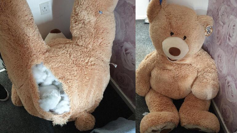 Incredible event The criminal sought by the police came out of the teddy bear...