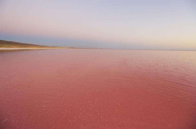Tuz Gölünde şaşırtan görüntü Pembe renge döndü, nedeni ortaya çıktı