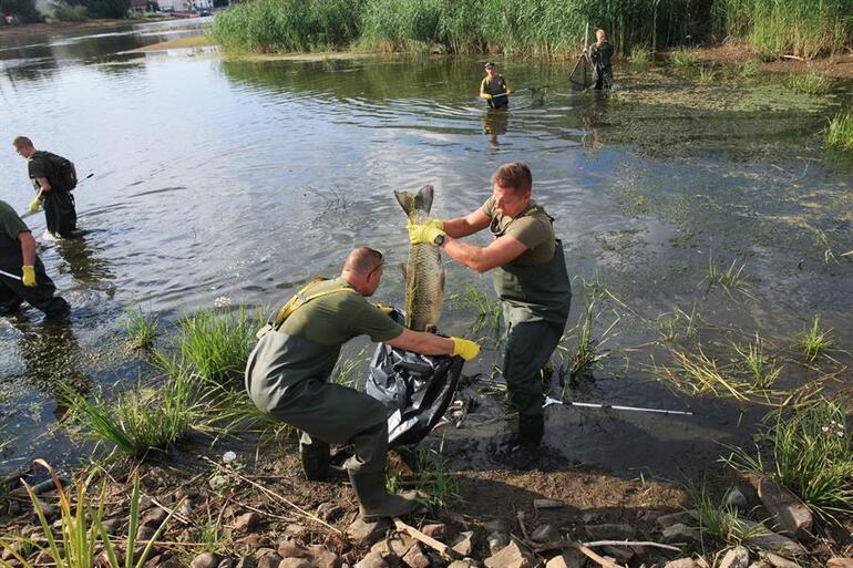 Chemical spilled into Oder River caused ecological disaster It will take years to recover...