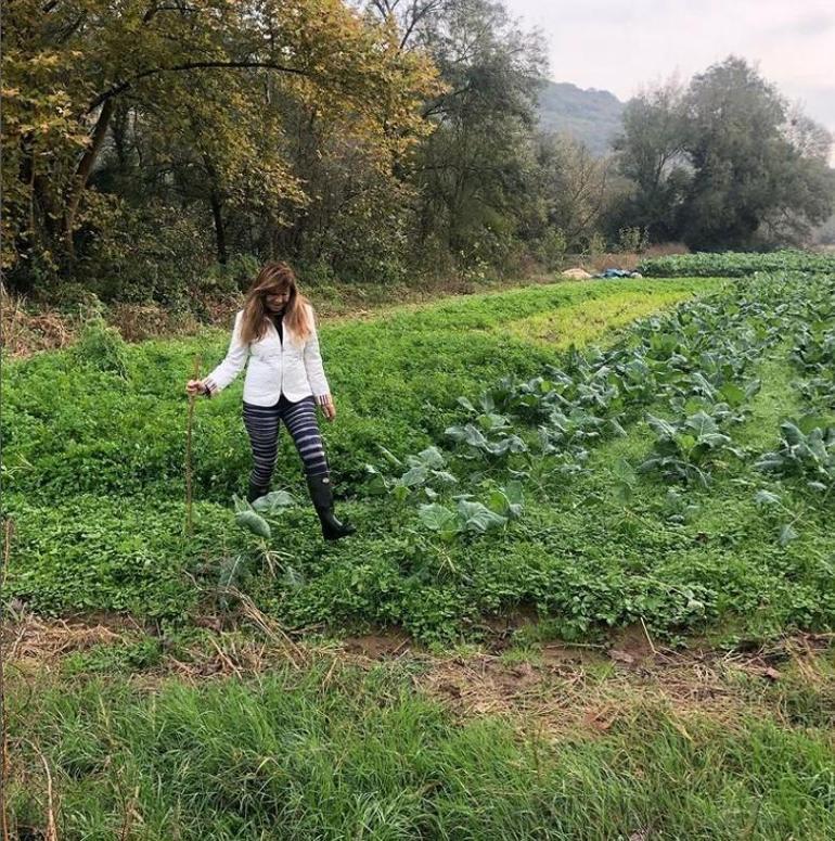 He rolled up his sleeves and entered the garden Olives from Gökçe…