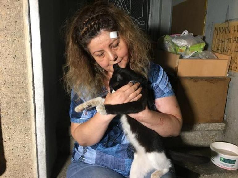 Kediye tekme iddiası ortalığı karıştırdı Birbirlerine girdiler