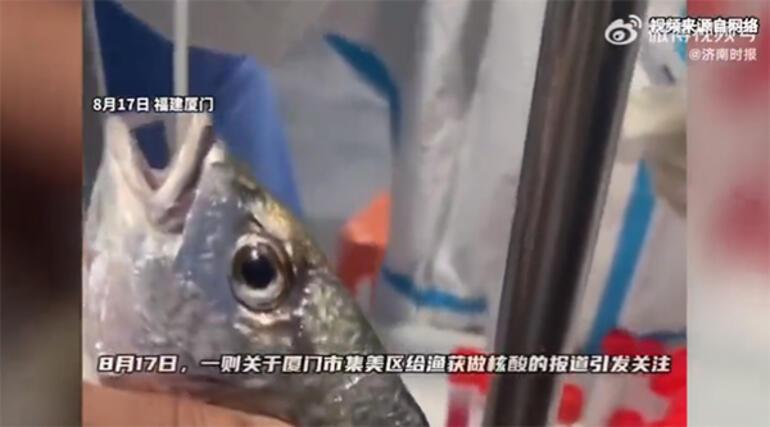 Çin’de neler oluyor İnanılmaz görüntü… Balıklara Covid testi yaptılar