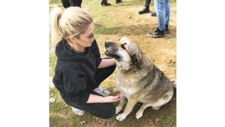 Köpek katliamlarıyla suçlanan Havrita haritadan silindi