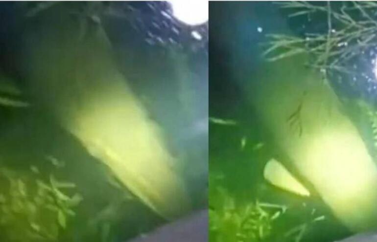 This time in China, they dried the lake so that the 'monster' fish wouldn't escape, but…