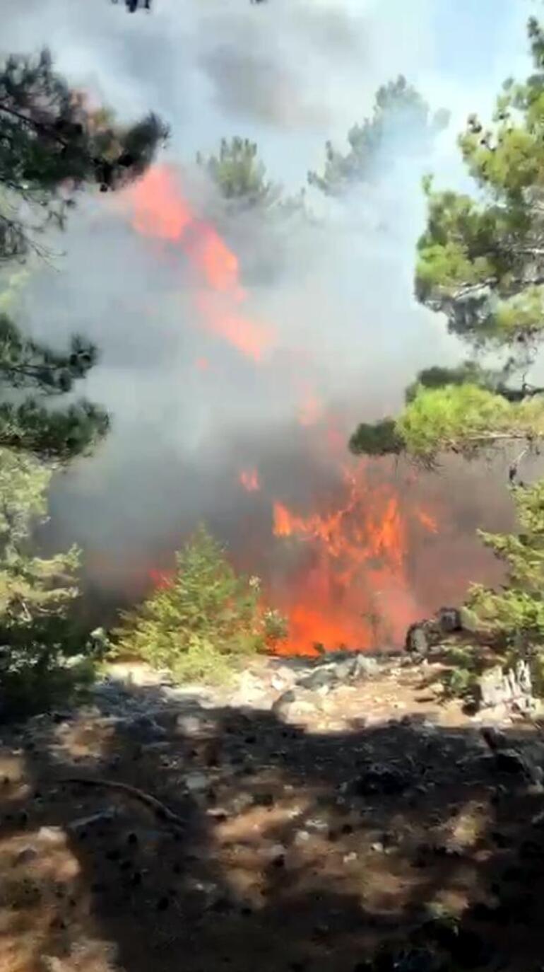 Antalyada çıkan orman yangını 2 saatte kontrol altına alındı
