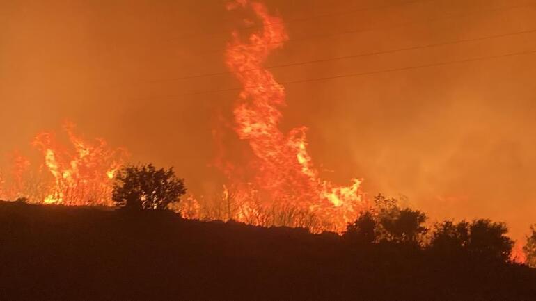 Mersindeki orman yangını 2nci gününde... İyi haber: Kontrol altına alındı
