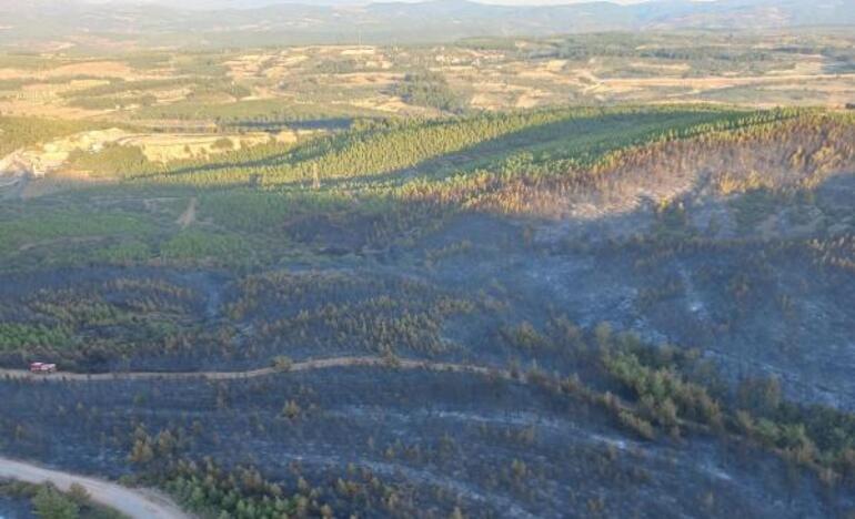 Somadaki 16 saatlik orman yangınında 60 hektar alan zarar gördü