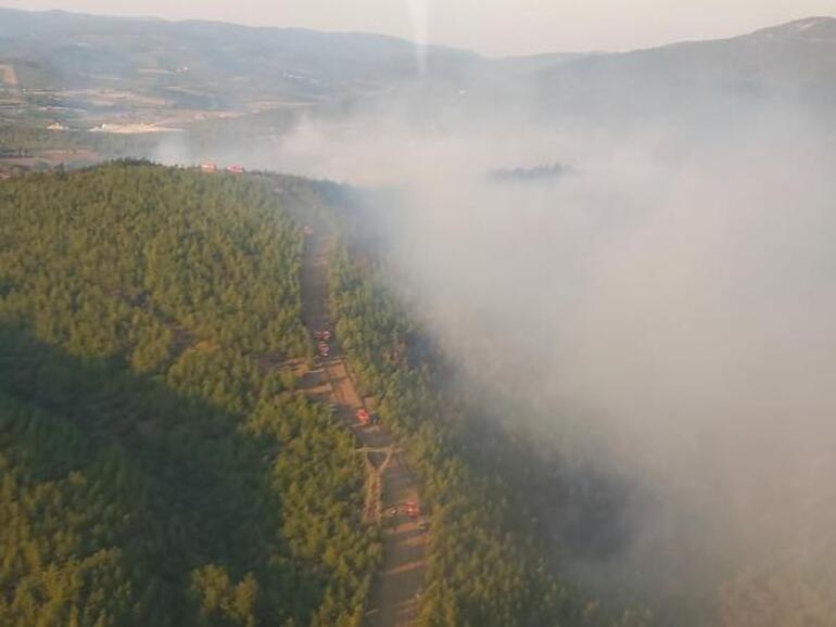 Somadaki 16 saatlik orman yangınında 60 hektar alan zarar gördü