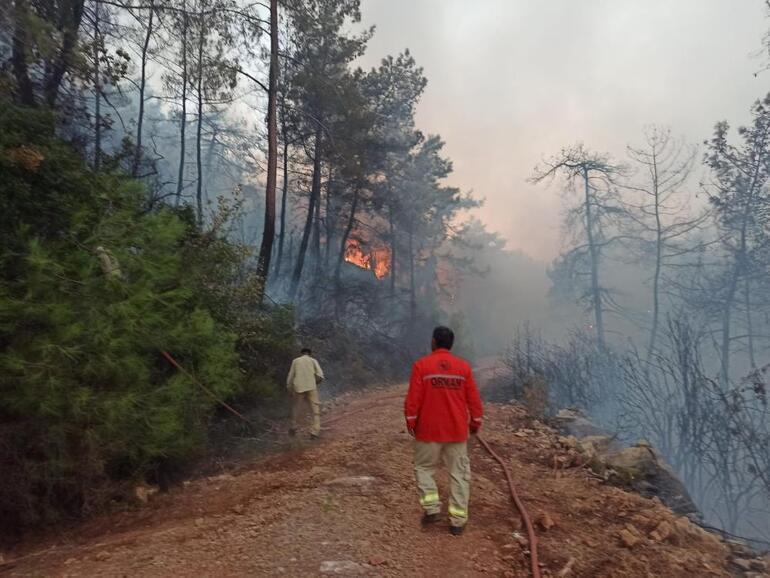Muğlada orman yangını Valilik duyurdu: Kontrol altına alındı