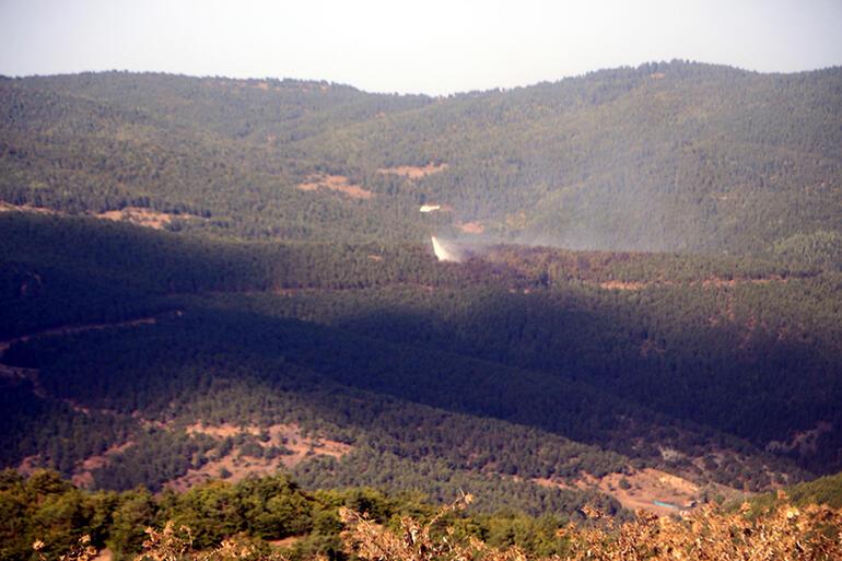 İzmir'in Çeşme ilçesinde ve Tokat'ta orman yangını