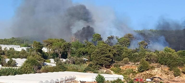 Son dakika... Antalya'da iki ayrı bölgede orman yangını