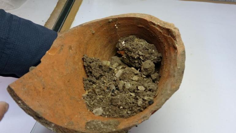 Assos Ören Yerinde amfora içinde 1600 yıllık balık kılçığı ve pulları bulundu