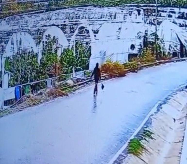 Antalyada kayıp Seda Nur Uludağdan iz yok Gözü yaşlı annesi: Ciğerlerim yanıyor