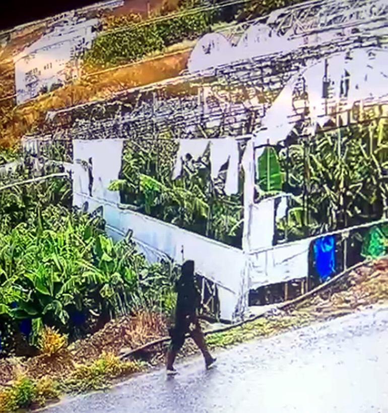 Antalyada kayıp Seda Nur Uludağdan iz yok Gözü yaşlı annesi: Ciğerlerim yanıyor