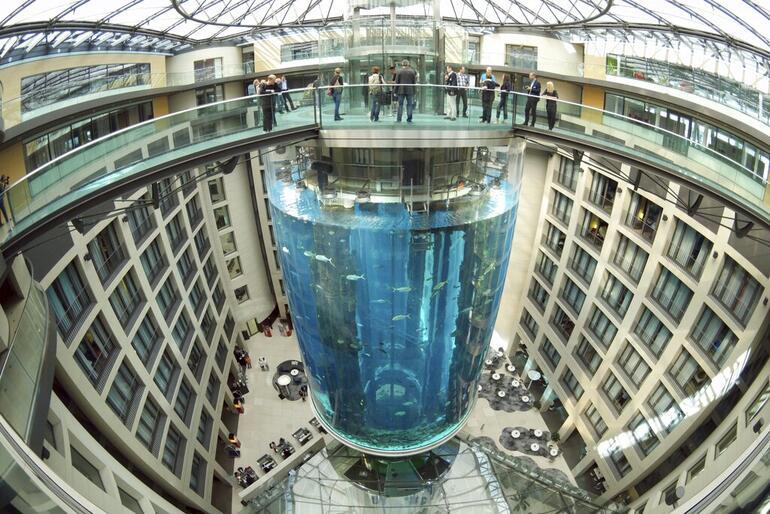 Berlində 1500 balıq olan nəhəng akvarium partlayıb